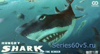 Hungry Shark