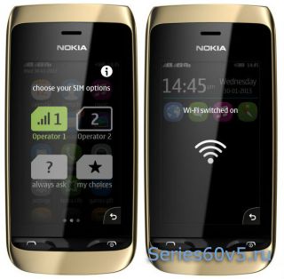   Nokia Asha 310 